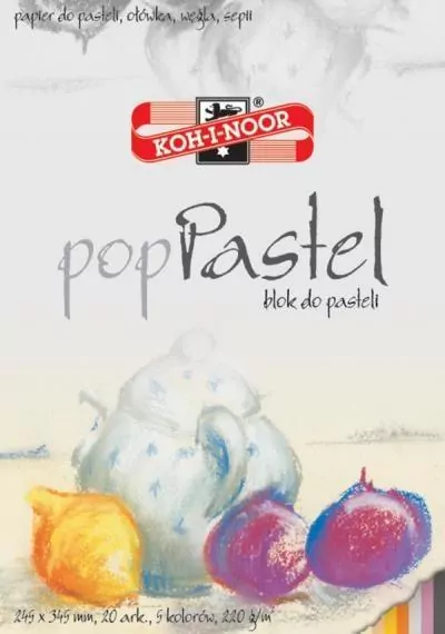 Blok do pasteli 245x345 20ARK 220G biały - tantis.pl