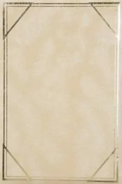 Fotoalbum kieszeniowy szyty Vinyl 3 - tantis.pl