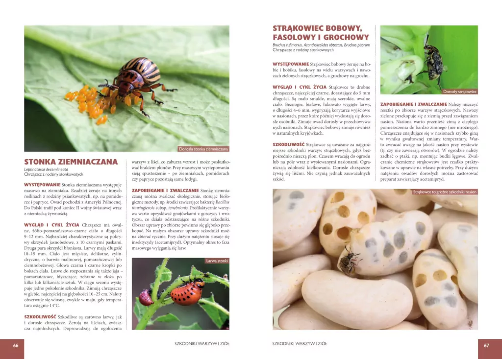 Atlas szkodników ogrodowych. 100 gatunków - tantis.pl