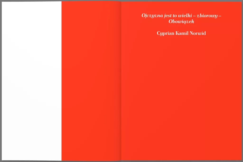 Polska. Eseje o stuleciu - tantis.pl