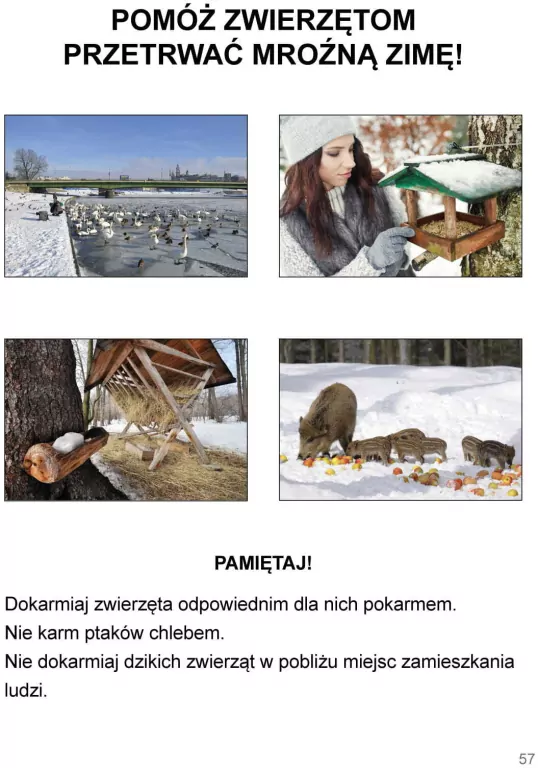 Mój rok. Podręcznik - tantis.pl