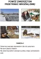 Mój rok. Podręcznik - tantis.pl
