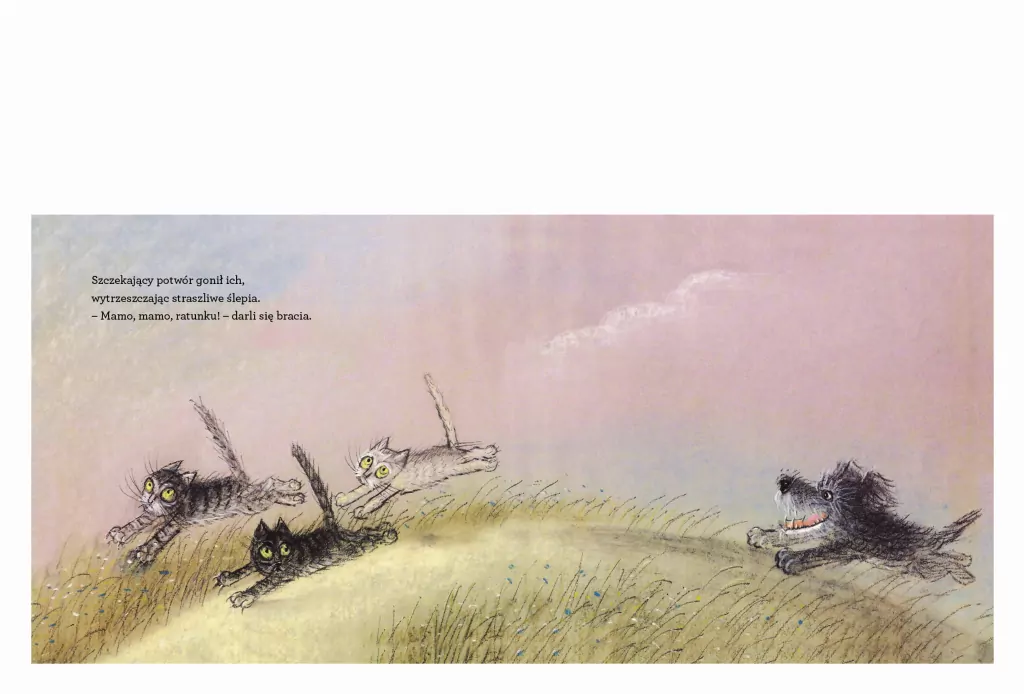 Kocie ścieżki - tantis.pl