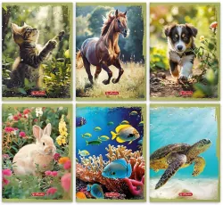 Zeszyt A5/16K kratka Animals