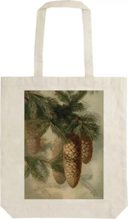 Torba bawełniana. Szyszki, jodły - tantis.pl