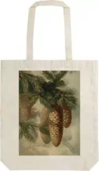 Torba bawełniana. Szyszki, jodły