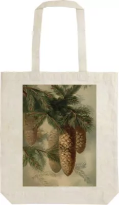 Torba bawełniana. Szyszki, jodły