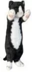 Kot stojący czarno-biały 25cm - tantis.pl