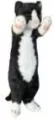 Kot stojący czarno-biały 25cm - tantis.pl