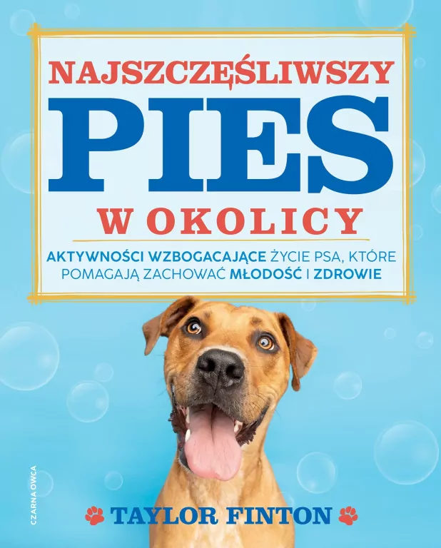 Najszczęśliwszy pies w okolicy - tantis.pl