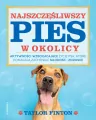Najszczęśliwszy pies w okolicy - tantis.pl