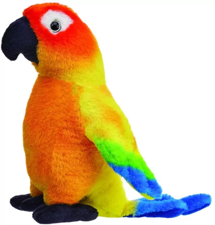 Konura słoneczna 20cm - tantis.pl