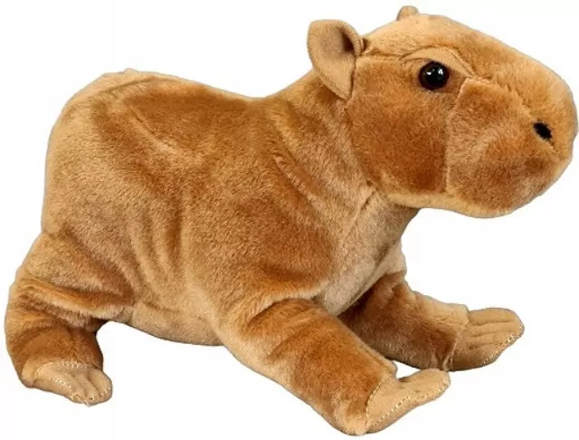 Kapibara 25cm - tantis.pl