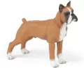 Boxer - tantis.pl