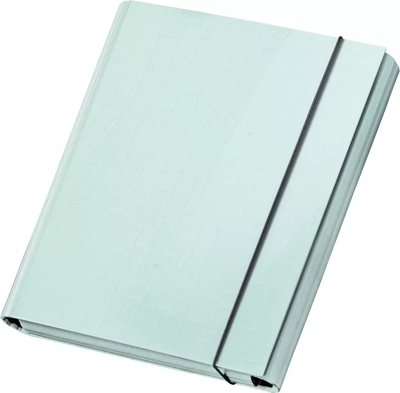 TECZKA Z GUMKA A4 SKRZYD PASTELOVE MORS VPE 1/12 - tantis.pl