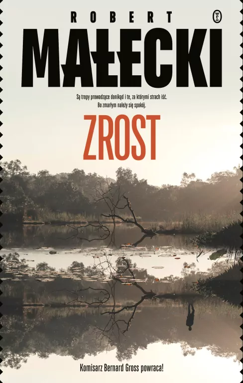 Zrost. Bernard Gross. Tom 4 - tantis.pl