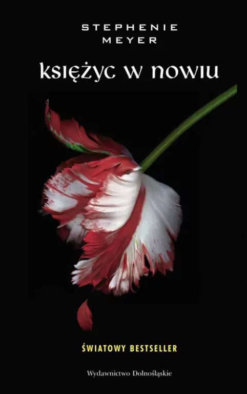 Księżyc w nowiu. Zmierzch. Tom 2 - tantis.pl