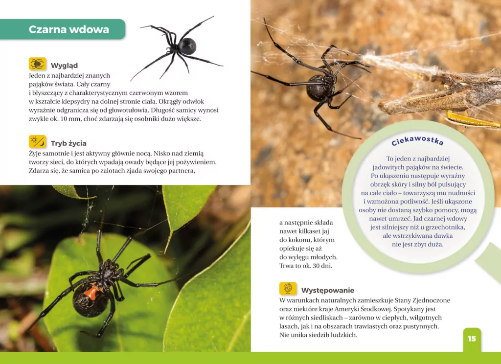 Jaki to pająk? Atlas dla dzieci - tantis.pl
