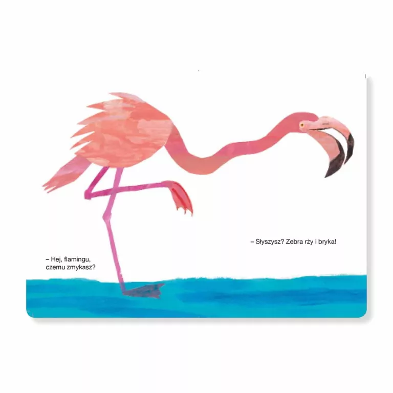 Miś słucha! - tantis.pl