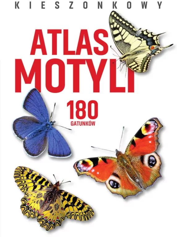 Kieszonkowy atlas motyli - tantis.pl