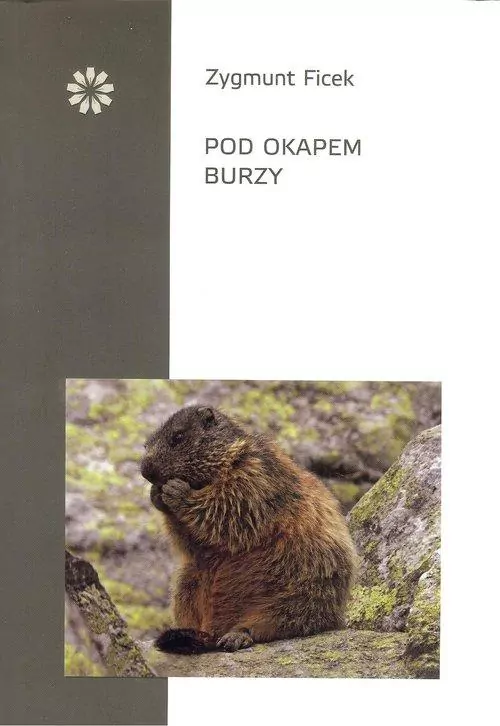 Pod okapem burzy - tantis.pl