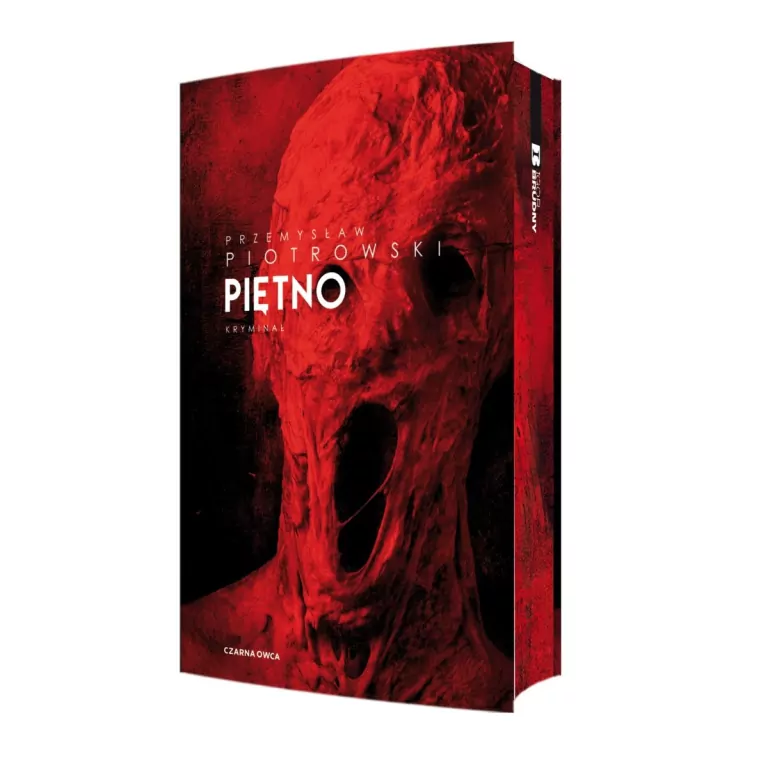 Piętno. Igor Brudny. Tom 1 (barwione brzegi) - tantis.pl