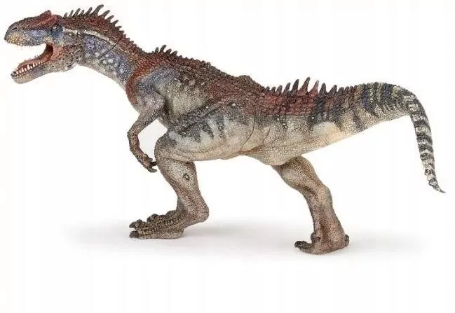 Allozaur - tantis.pl