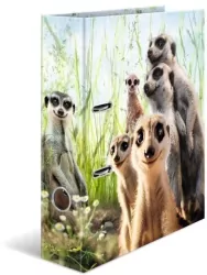 Segregator Surykatki 7cm