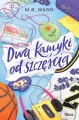 Dwa kamyki od szczęścia - tantis.pl