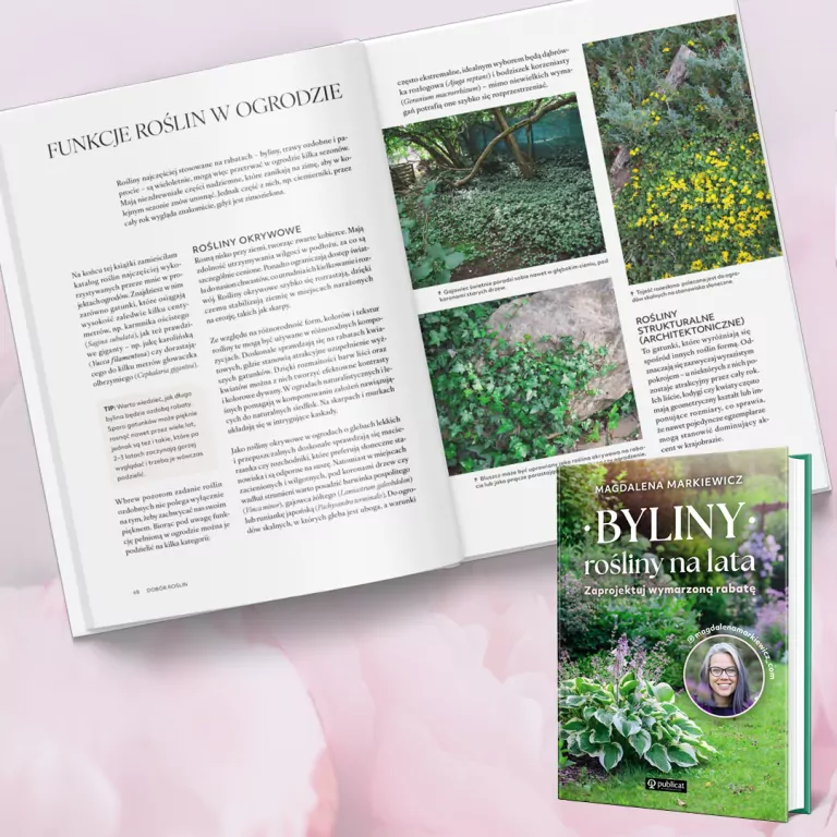 Byliny: rośliny na lata. Zaprojektuj wymarzoną rabatę - tantis.pl