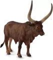 Byk ankole-watusi - tantis.pl