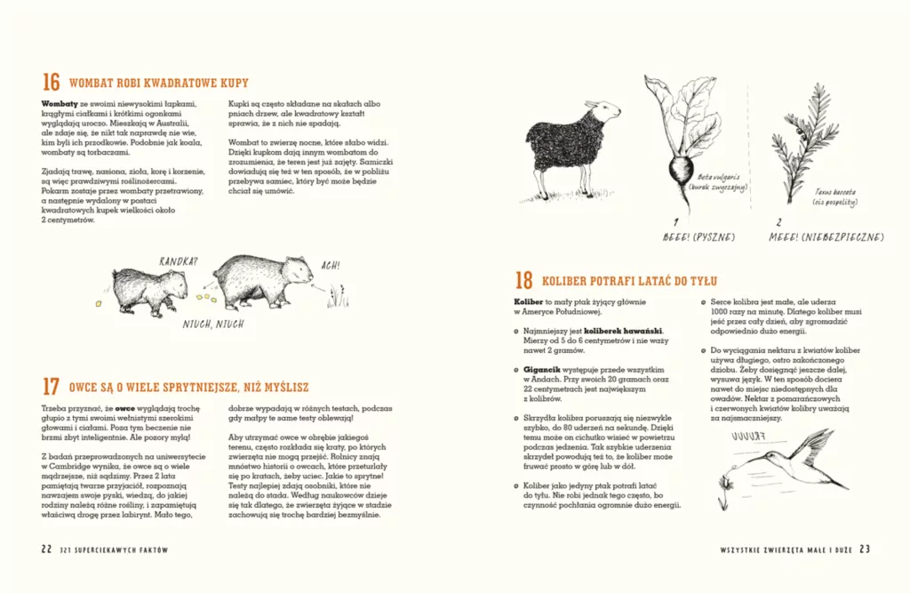 321 superciekawych faktów, które trzeba poznać - tantis.pl