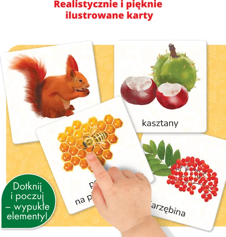 Montessori. Karty sensoryczne Przyroda 3+ - tantis.pl