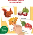 Montessori. Karty sensoryczne Przyroda 3+ - tantis.pl