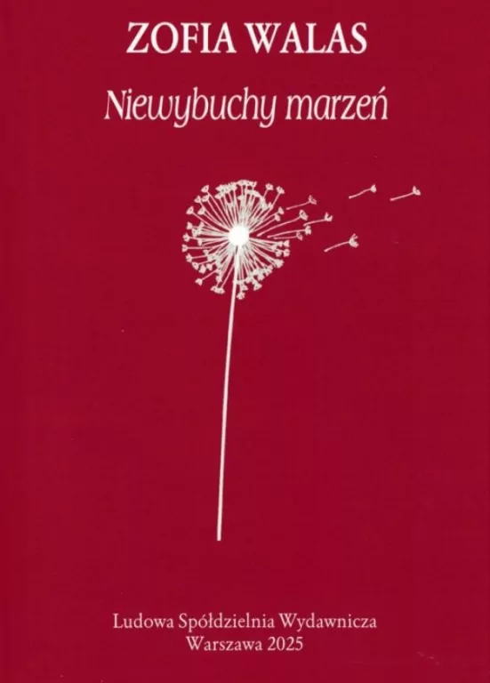 Niewybuchy marzeń - tantis.pl