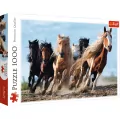 Puzzle 1000. Galopujące konie 10446 - tantis.pl
