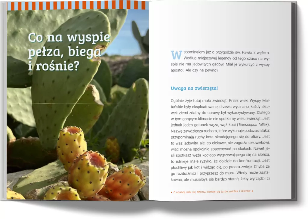 Malta. Rajska wyspa Europy. Kraina kołatek, luzzu i wykuszy - tantis.pl