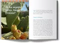Malta. Rajska wyspa Europy. Kraina kołatek, luzzu i wykuszy - tantis.pl