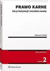Prawo karne. Zarys instytucji w.2