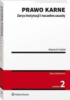 Prawo karne. Zarys instytucji w.2