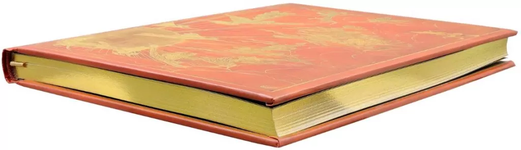 Notatnik szyty Pomarańczowa Księga - tantis.pl