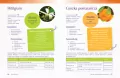 Olejki eteryczne. Podstawowa wiedza, mieszanki... - tantis.pl