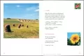 Polski rok - tantis.pl