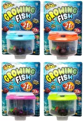 Hodowla ryb w akwarium mix