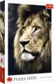 Puzzle 1500. Portret lwa 26139 - tantis.pl