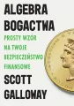 Algebra bogactwa. Prosty wzór na twoje bezpieczeństwo finansowe - tantis.pl