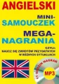 Angielski Mini-samouczek Mega-nagrania - tantis.pl