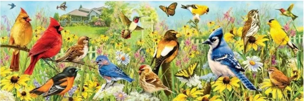 Puzzle 1000 Ptaki w ogrodzie, Panorama - tantis.pl