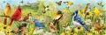 Puzzle 1000 Ptaki w ogrodzie, Panorama - tantis.pl