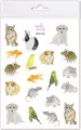 Naklejki Zwierzęta domowe - tantis.pl